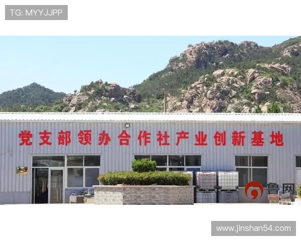 日照企业家创新驱动发展探索与实践助力地方经济转型升级